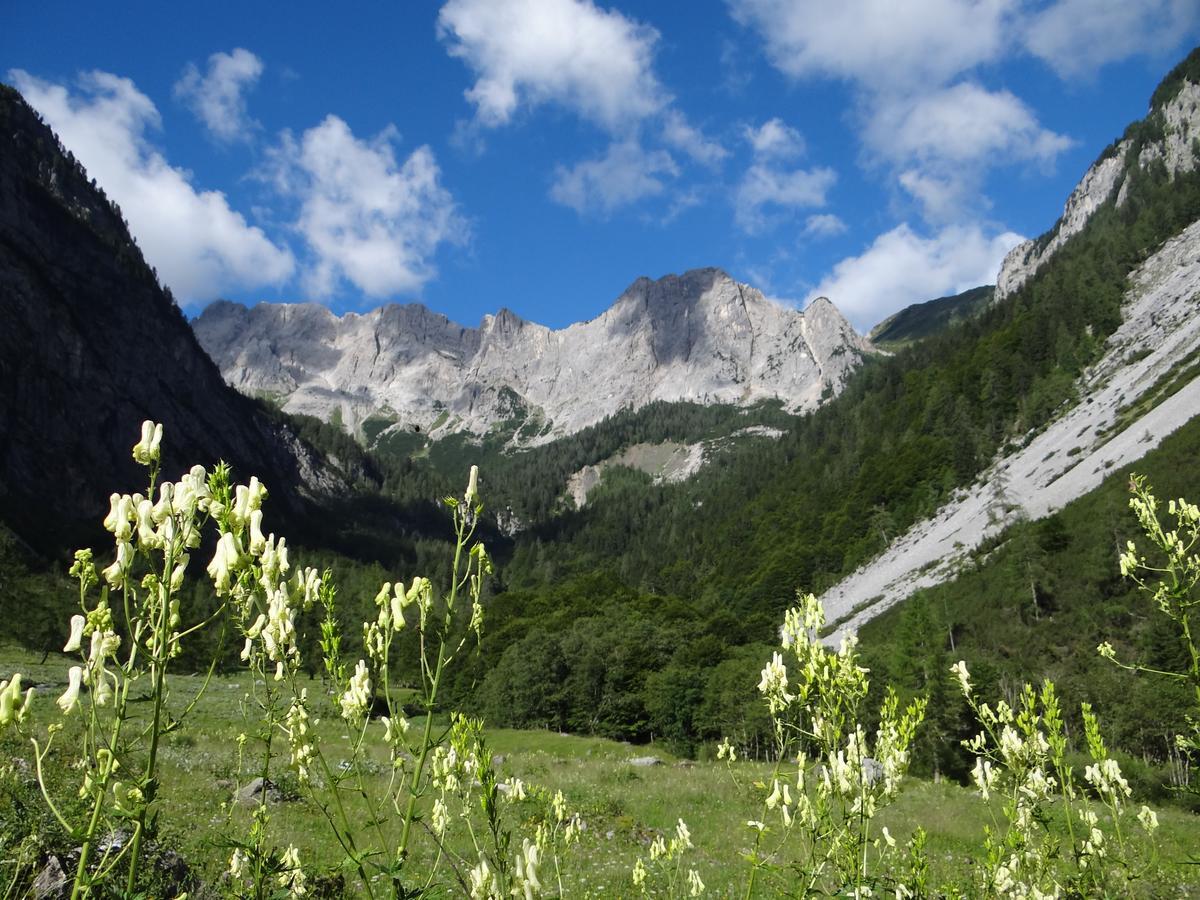 Hotel Garni Haus Anita Liesing ภายนอก รูปภาพ